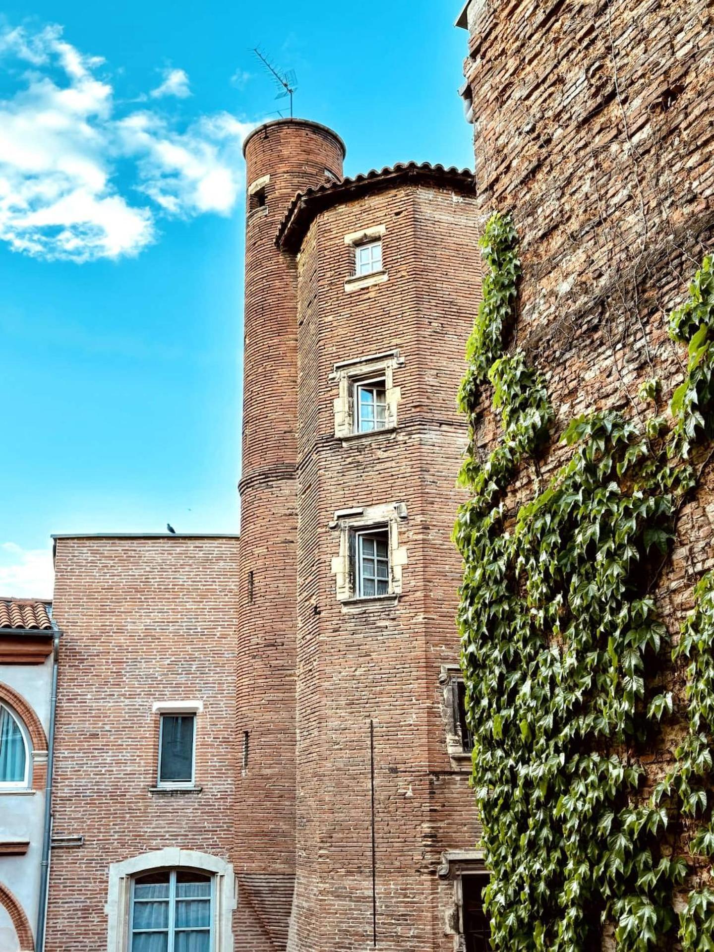 Appartement Luxueux Et Fleuri A Toulouse, Capitole Buitenkant foto